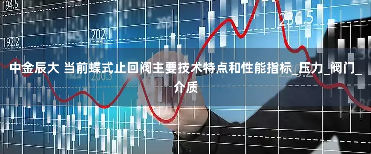 中金辰大 当前蝶式止回阀主要技术特点和性能指标_压力_阀门_介质