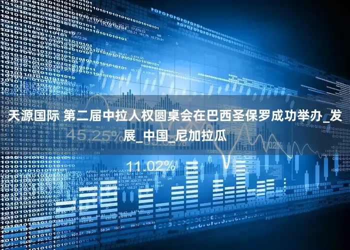 天源国际 第二届中拉人权圆桌会在巴西圣保罗成功举办_发展_中国_尼加拉瓜