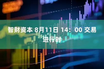 智财资本 8月11日 14：00 交易进行时