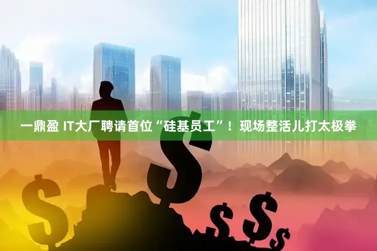一鼎盈 IT大厂聘请首位“硅基员工”！现场整活儿打太极拳