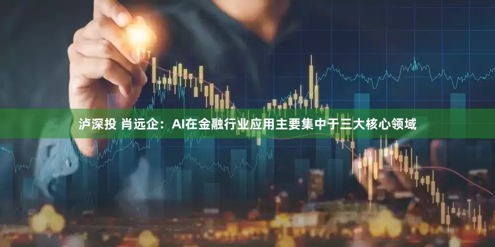 泸深投 肖远企：AI在金融行业应用主要集中于三大核心领域