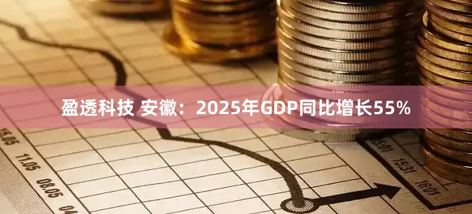 盈透科技 安徽：2025年GDP同比增长55%