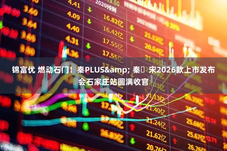 锦富优 燃动石门！秦PLUS& 秦・宋2026款上市发布会石家庄站圆满收官